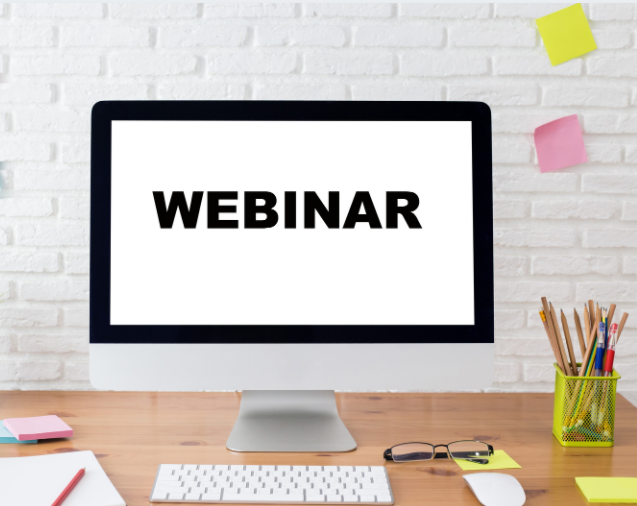 Virtual Sewing Guild