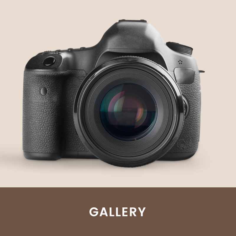 Virtual Sewing Guild